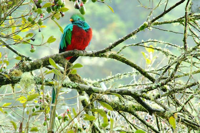 Juan Castro Blanco National Park, Costa Rica