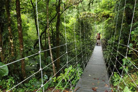 Juan Castro Blanco National Park Costa Rica