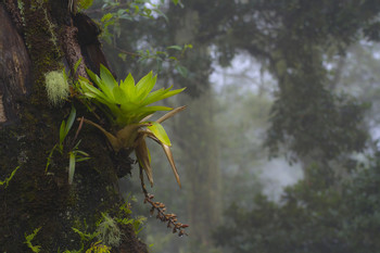Juan Castro Blanco National Park photo 5