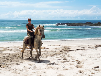 Jungle and Barigona Beach Horseback Riding Tour photo 4