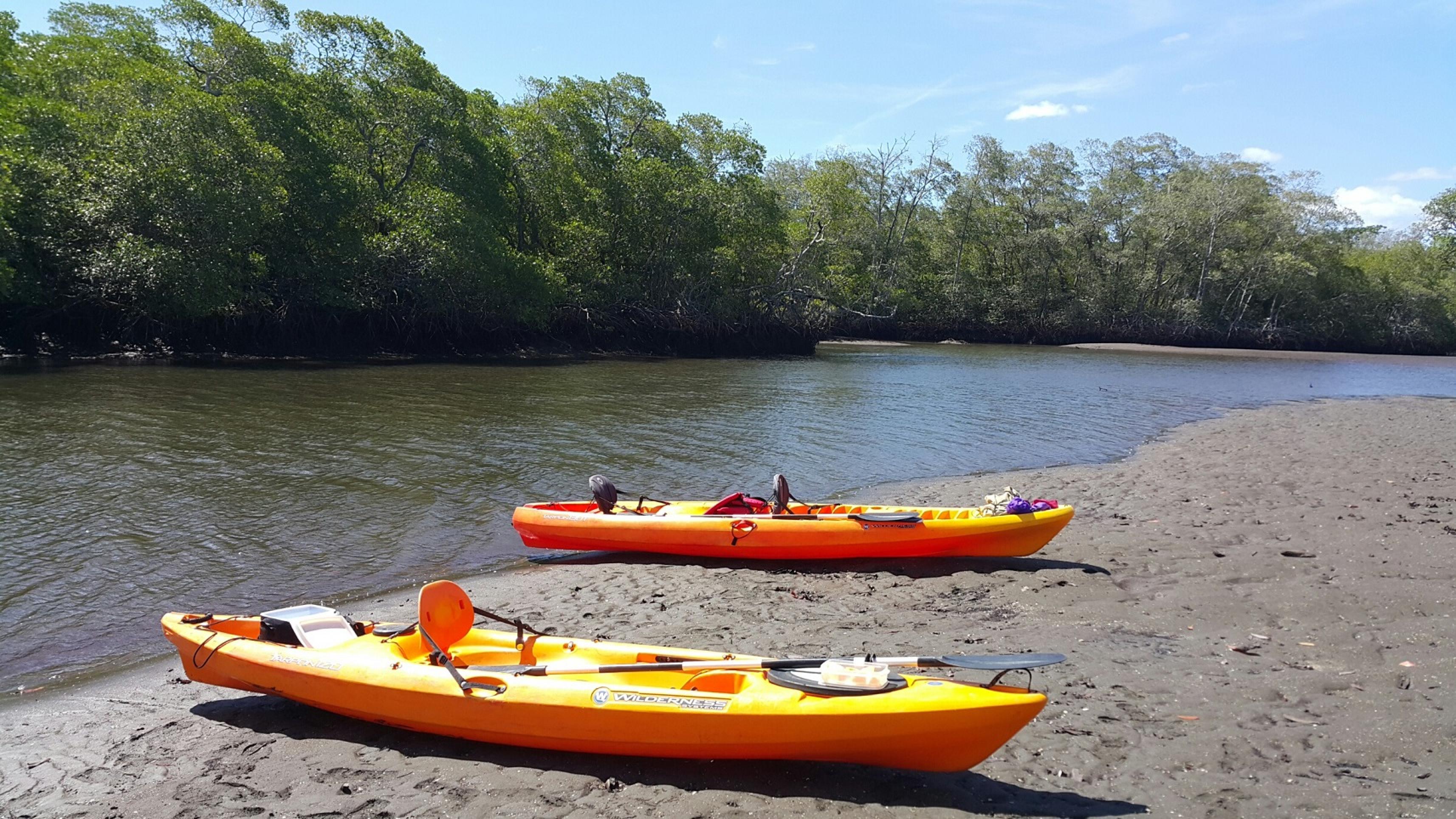 Kayak Tamarindo Estuary Tamarindo, Costa Rica