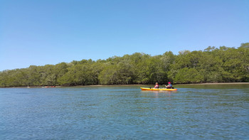 Kayak Tamarindo Estuary photo 2