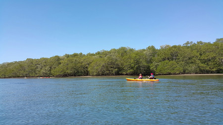 Kayak Tamarindo Estuary photo 2