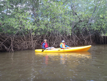Kayak Tamarindo Estuary photo 3