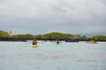 Kayak on the bay photo 4