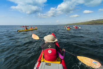 Kayak on the bay photo 5
