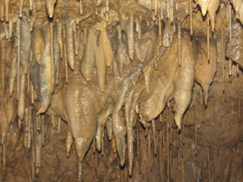 King Marcos Cave photo 5
