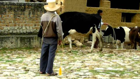 Hacienda La Collpa Peru