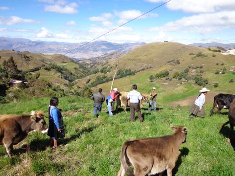 Hacienda La Collpa Peru