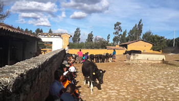 Hacienda La Collpa photo 4