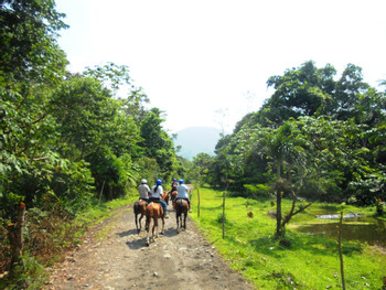 La Fortuna Waterfall Horseback Ride