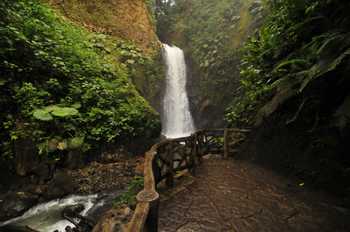 La Paz Waterfall Gardens Tour