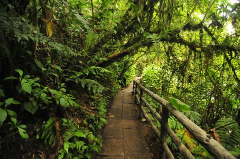 La Paz Waterfall Gardens Tour