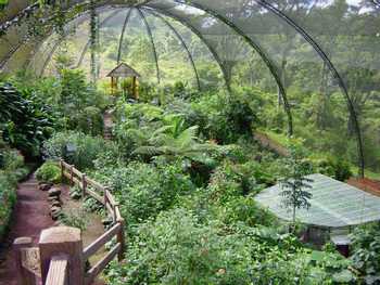 La Paz Waterfall Gardens Tour