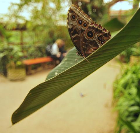 La Paz Waterfall Gardens Tour Costa Rica
