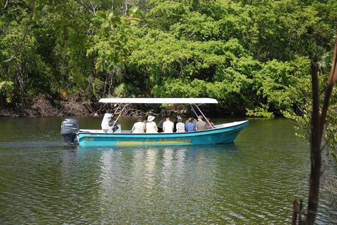 Lamanai Maya Temples & the New River Safari