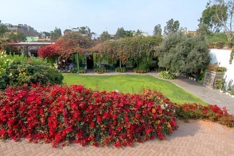 Larco Museum Peru