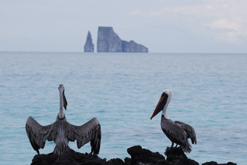 Kicker Rock - Leon Dormido Island Tour photo 5