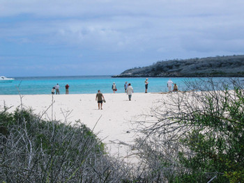 Isla Lobo y Playa Ochoa photo 3