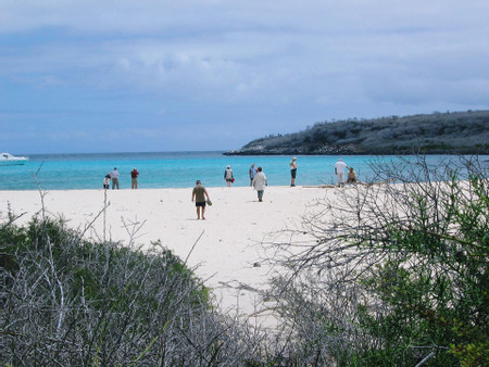 Isla Lobo y Playa Ochoa photo 3