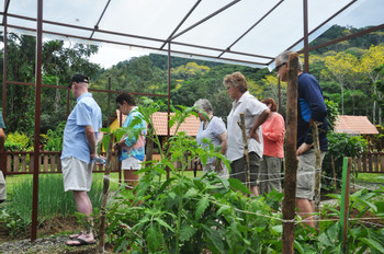 Local Flavor Cooking Class photo 2