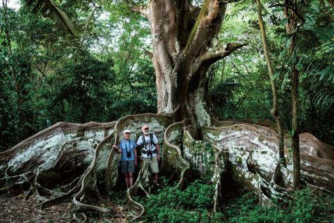 Paseo por el Manglar de las Tierras Bajas