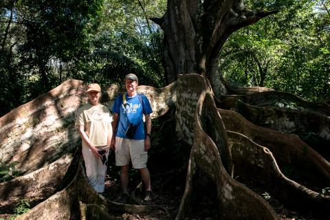 Lowlands Mangrove Walk Costa Rica