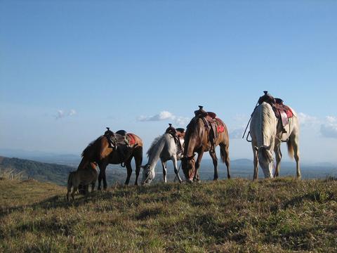 Lunch Horseback Ride Guatemala