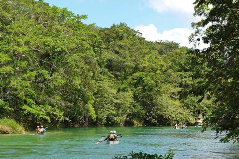 Macal River Canoeing Belize