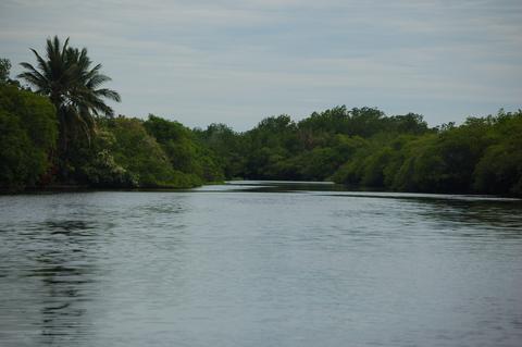 Mangrove and Salt Mine Boat Ride Guatemala