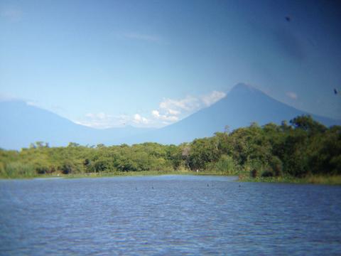 Mangrove and Salt Mine Boat Ride