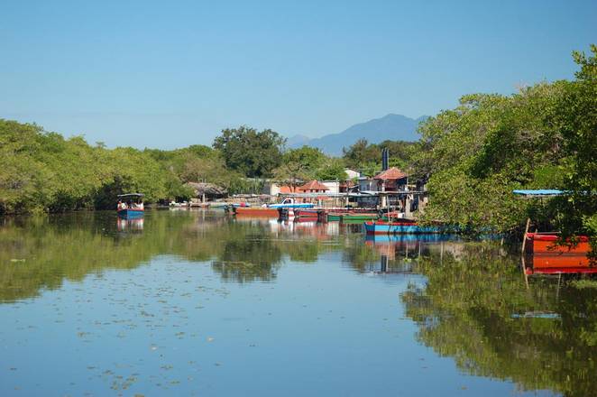 Mangrove Forest & Tule Boat Tour, Guatemala