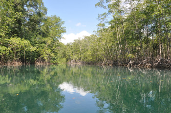 Damas Estuary Boat Trip photo 4