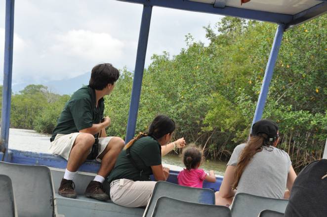 Damas Estuary Boat Trip, Costa Rica