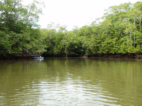 Mangrove Fishing Tour Costa Rica