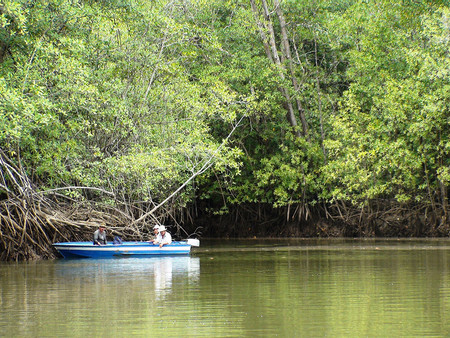 Tour de Pesca en Manglares photo 2