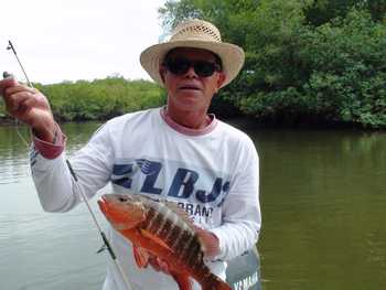 Mangrove Fishing Tour