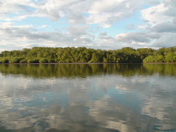 Tour de Pesca en Manglares photo 5