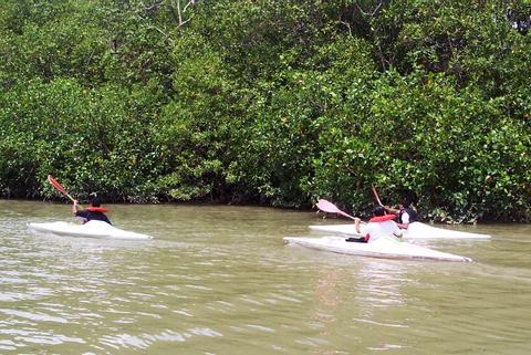 Damas Island Mangrove Kayak Tour Costa Rica
