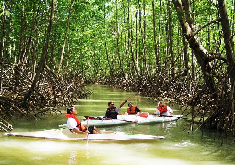 Manuel Antonio Mangrove Kayak Tour Damas Island Estuary