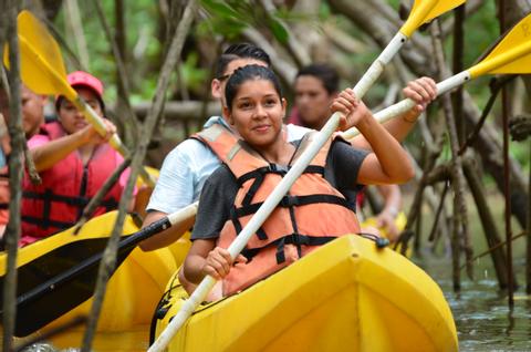 Damas Island Mangrove Kayak Tour Costa Rica