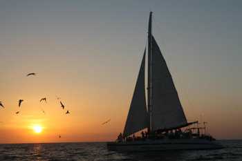 Playa del Coco Catamaran 