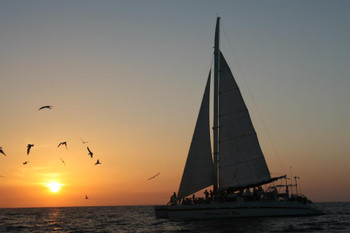 Paseo en Catamarán Playa del Coco photo 2