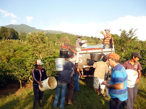 Mi Cafecito Coffee Tour Costa Rica