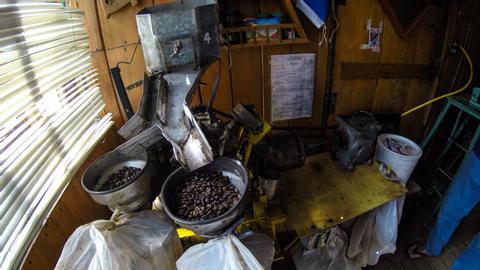 Milagrosa Farm Coffee Tour Panama