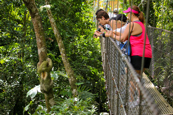 Puentes colgantes Místico photo 3