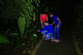 Mistico Hanging Bridges Regular Night Walk photo 4