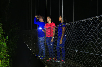 Mistico Hanging Bridges Regular Night Walk photo 5