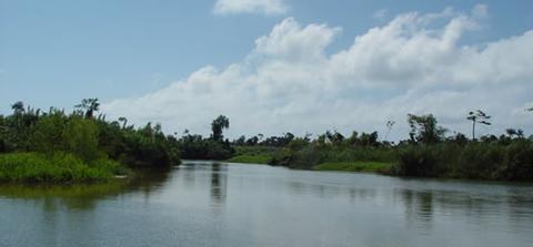 Ecotour Río Mono