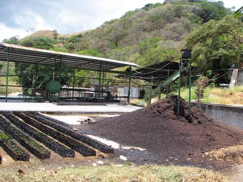 Cafe de Monteverde Coffee Tour Costa Rica